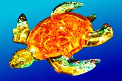 3DAE-Gibbons Glass Up Close