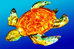 3DAE-Gibbons Glass Up Close(1)